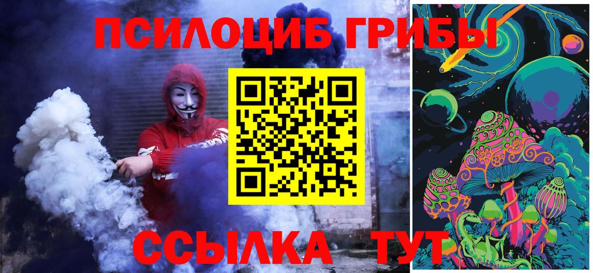 Псилоцибиновые грибы GOLDEN TEACHER Балабаново