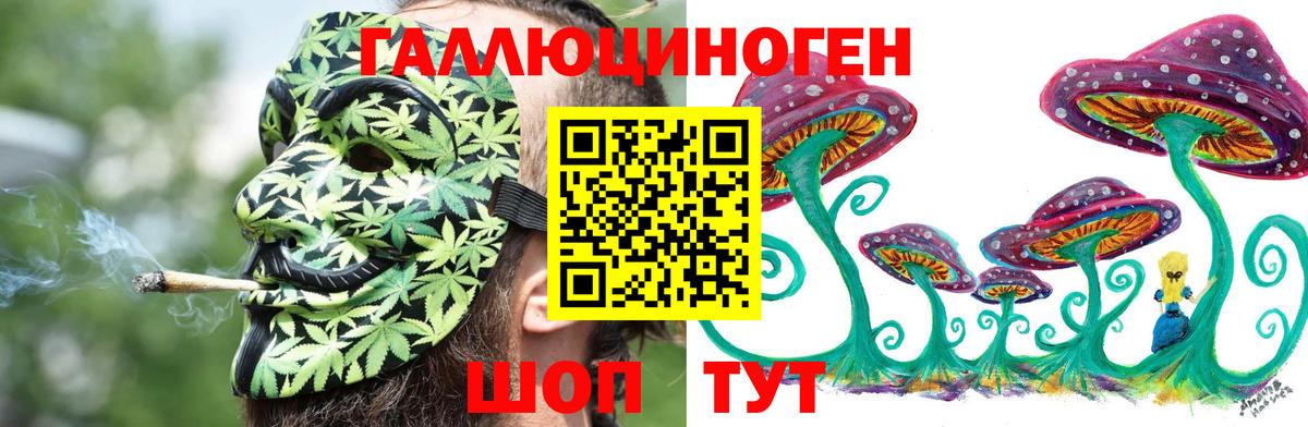 Балабаново  что такое   Вход с VPN  Псилоцибиновые грибы Cubensis 
